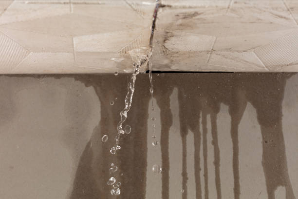 Professional Water Extraction technician working in Thornton, CA